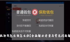 小狐狸钱包出错怎么办？全面解决方案与常见问