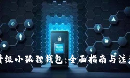 如何升级小狐狸钱包：全面指南与注意事项