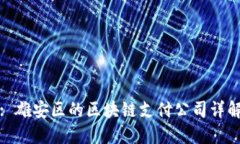 : 雄安区的区块链支付公司详解