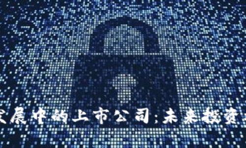 区块链发展中的上市公司：未来投资机会解析