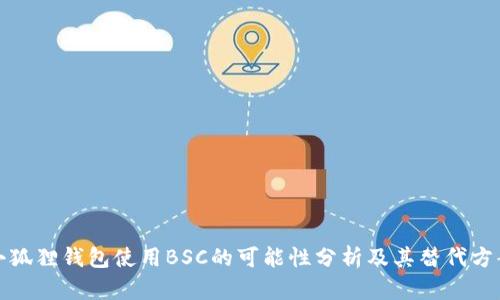 小狐狸钱包使用BSC的可能性分析及其替代方案