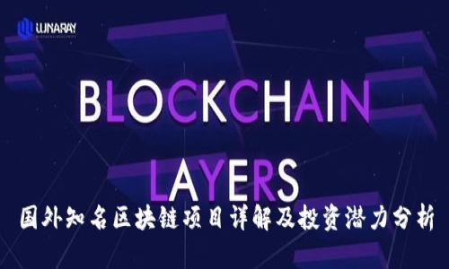 国外知名区块链项目详解及投资潜力分析