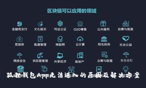 狐狸钱包App无法进入的原因及解决方案