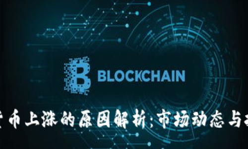 x


区块链货币上涨的原因解析：市场动态与投资逻辑