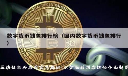 区块链经典应用实例揭秘：从金融到供应链的全面解析