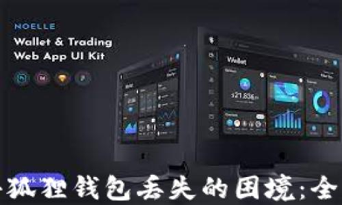 
如何应对小狐狸钱包丢失的困境：全面解决方案