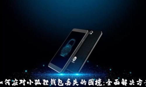 
如何应对小狐狸钱包丢失的困境：全面解决方案