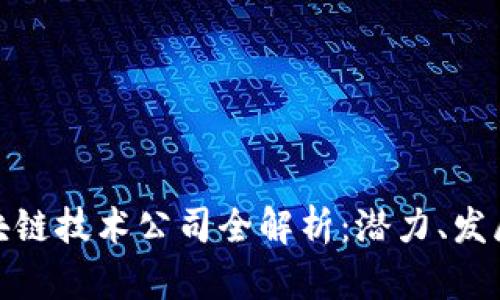 海南区块链技术公司全解析：潜力、发展与机遇